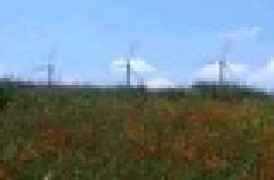 Foggia - Dal vento pioggia di euro su Alberona