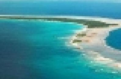 Dopo l'atomica su Bikini esplode la vita