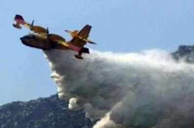 Incendi nel Salento, in azione due Canadair e Vigili del fuoco