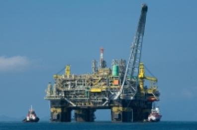 Trivelle in Puglia, il governatore scrive a Conte: «No a ricerche in mare»