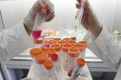 «Nel Tarantino il 30% in più
di malattie del sangue»