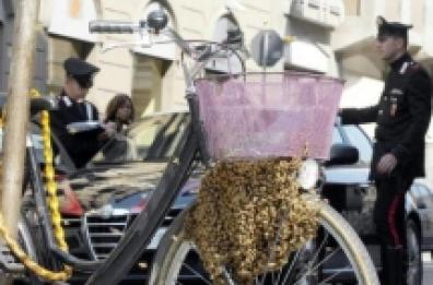Taranto, sciami di api paura in piazza