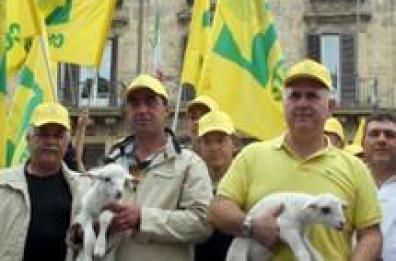 Protesta pastori a Ministero Agricoltura