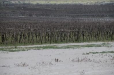 Maltempo: esondano Agri, Ofanto Sinni e Basento 