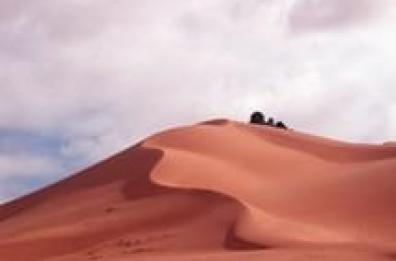Tunisia: quando scioperano i cammellieri