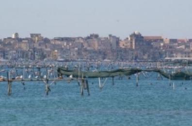 Diossina in Mar Piccolo «Dall’Arpa un allarme già due anni fa»