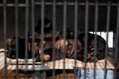 Giappone: due donne uccise da orsi