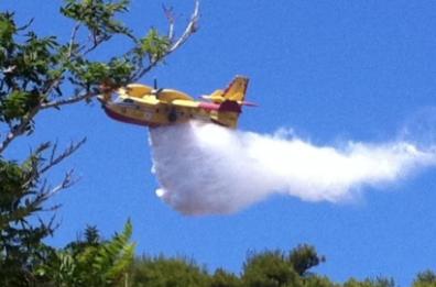 Basilicata, incendi boschivi: 12 roghi nei primi 3 mesi  2021
