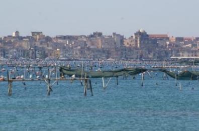 Taranto, ok della V commissione regionale a Parco naturale Mar Piccolo