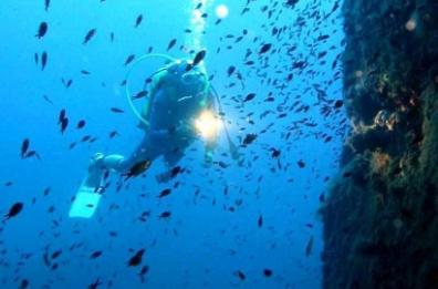 Puglia, Cera: «In arrivo 750mila euro per bonificare il fondale delle Tremiti»