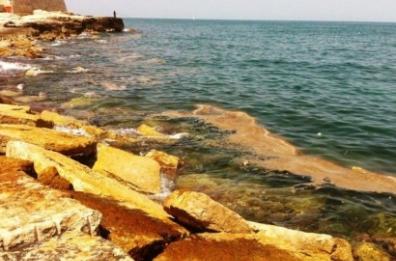 Trani, precipita dalla scogliera del lungomare: 33enne in coma