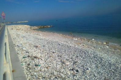 Acquaviva, il Comune paga il biglietto per andare al mare alle famiglie indigenti