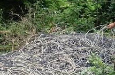 Presa la banda del rame
3 arrestati, altri 3 ricercati