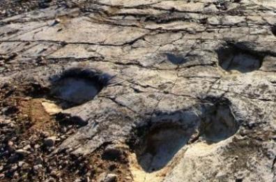Beni culturali: 7,6 mln
per la provincia di Bari