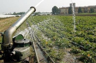Eipli, appalti pilotati
dirigente resta in cella