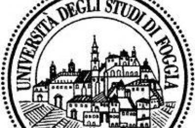 Foggia, l'appello dei ricercatori: «Noi, precari a vita»