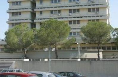 Scambiano bacche per more
intossicate due martinesi