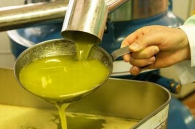 Puglia, anno nero  per l’olio extravergine: cancellato dalla crisi