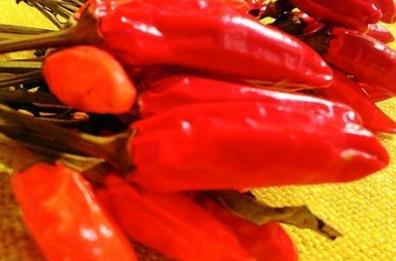Potenza, peperoncino lucano schiacciato dalla produzione cinese di scarsa qualità
