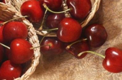 Ciliegie di Puglia, all’ingrosso 1 euro e nei supermercati a 10