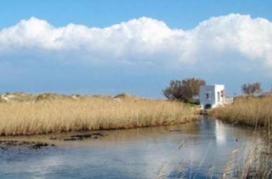 Per pulire spiaggia danneggiano duna costiera, 3 denunciati a Ostuni