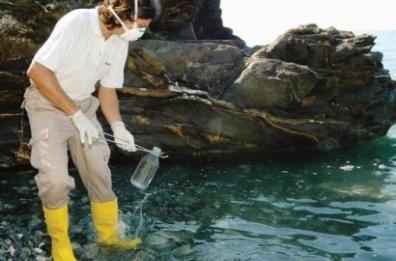 «Litorale barese» L'alga tossica fa già prime vittime