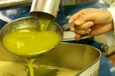 Per decenni ha venduto olio di oliva adulterato: Dda confisca 6 milioni di beni a imprenditore di Cerignola