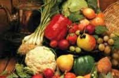 Agroalimentare, in Basilicata percorso formativo per giovani