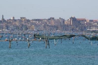 Legambiente: con legge ecoreati
già 41 sentenze di condanna