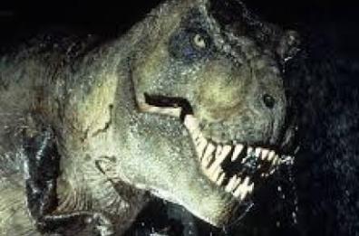 Dinosauri tra noi 
a Cassano murge