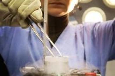 Morì durante fecondazione
 assistita. Pm Bari: diagnosi errata