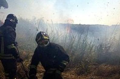 Incendi Basilicata, l'assessore Cupparo: «Il nuovo presidio dei Vigli del fuoco serve a tutela»