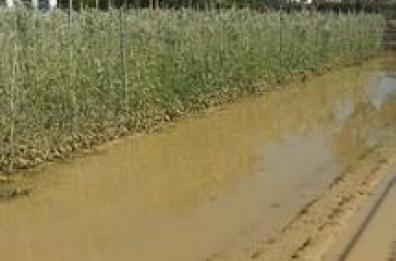 Basilicata, 138mila euro per le aziende danneggiate da calamità naturali 