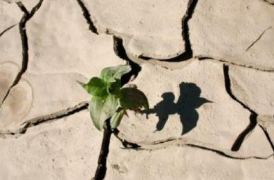Coldiretti: consumo del suolo
in Puglia tra 8/10% nel 2016
