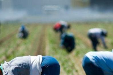 Comune di Cerignola, dal Ministero 9 milioni di euro per la lotta al caporalato