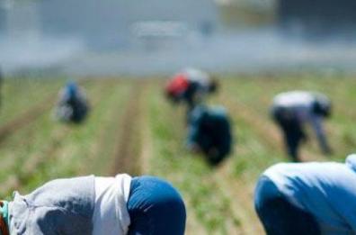 Lo sfogo di una donna al pm
«Perdere lavoro è una tragedia»
