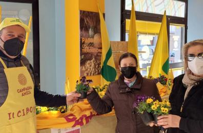 Piante-mania per i pugliesi: «Pollice verde in aumento, effetto della pandemia»