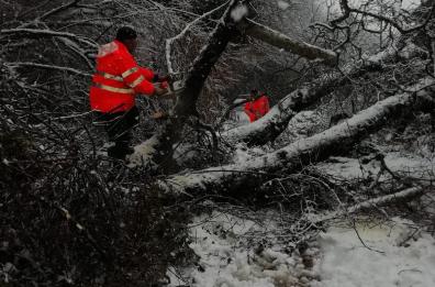 Foresta Umbra: Arif e Carabinieri liberano le strade dalla neve