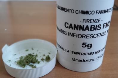 «Uso medico della cannabis, Puglia prima regione a istituire un polo di ricerca»
