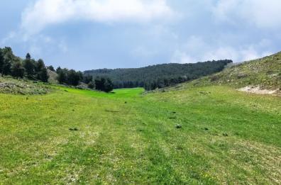 L'Alta Murgia è stata proclamata geoparco mondiale Unesco