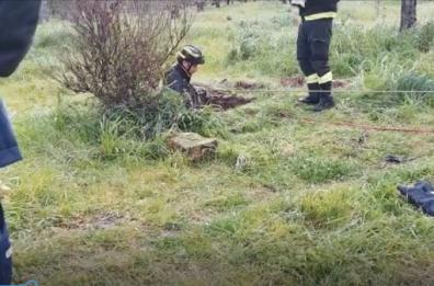 Cane cade in un pozzo nel foggiano: messo in salvo da Vigili del Fuoco e Enpa di Torremaggiore
