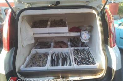 In barca novellame fuorilegge, pescatore nella rete della Guardia costiera
