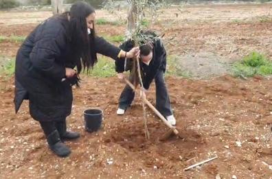 Valenzano, piantati cento alberi secolari intitolati alla vittime di mafia