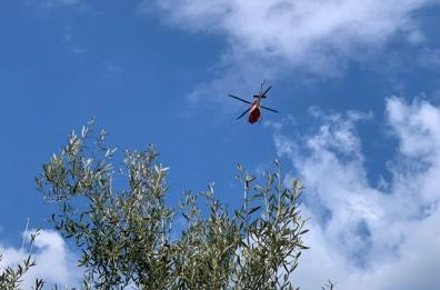 Ruvo, nonna di 80 anni scompare nel nulla: ritrovata dopo 24 ore a Bisceglie