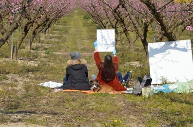 «Pescheti in fiore»: l'Impressionismo 3.0 a San Ferdinando di Puglia