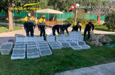 Manfredonia, sequestrati 6 quintali di novellame di sarda