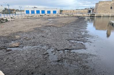 Ostuni, «subito uno studio tecnico per le alghe a Villanova»