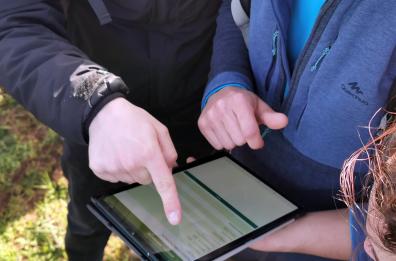 Nel parco dell'Alta Murgia nasce l'app che tutela gli insetti impollinatori