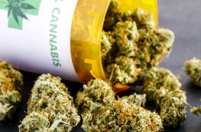 Canosa di Puglia, autorizzata azienda per la cannabis terapeutica