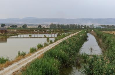 Manfredonia, pesca di frodo nell'Oasi Laguna del Re: 3 persone scoperte